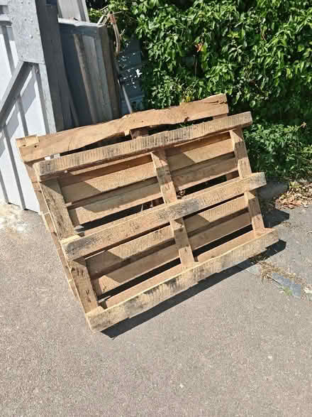 Photo of free Pallets (Roebuck SG2) #1