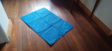 Photo of free Dog cooling gel pad / bed (Near Chinnor OX39) #2