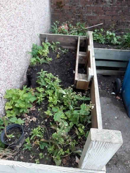 Photo of free Topsoil (EH26 Penicuik) #2