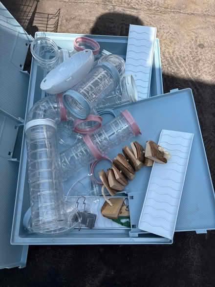 Photo of free Small rodent cage (Bordon) #3