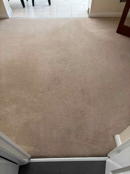 Photo of free Carpet (Milton PO4) #1