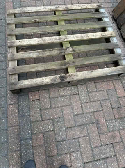 Photo of free Wood pallets x2 (Orpington) #1