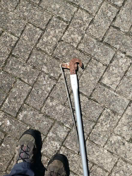 Photo of free Long reach pruner (Little Chalfont HP6) #2