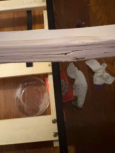 Photo of free Twin daybed with trundle (Odenton Kings Heights) #2