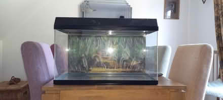 Photo of free Jewel Fish Tank (Highworth SN6) #1