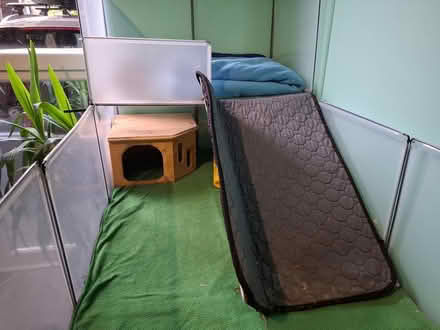 Photo of free Guinea pig enclosure (Leith EH6) #3
