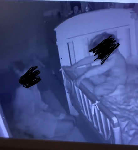 Photo of free Boori cotbed (Sloane Square SW1X) #1