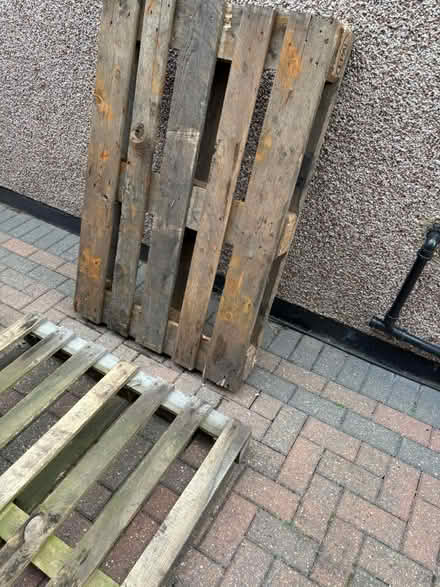 Photo of free Wood pallets x2 (Orpington) #2