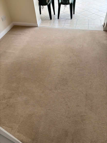 Photo of free Carpet (Milton PO4) #4