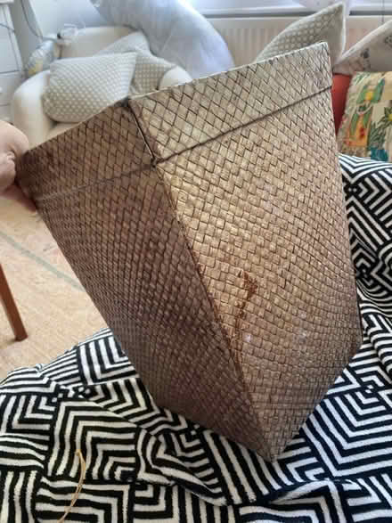 Photo of free Bin (Herne Hill, SE24) #2