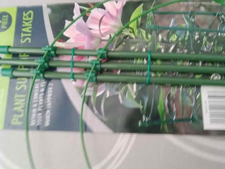 Photo of free Plant support stakes (Isleworth TW7 Near Rugby Gd) #1