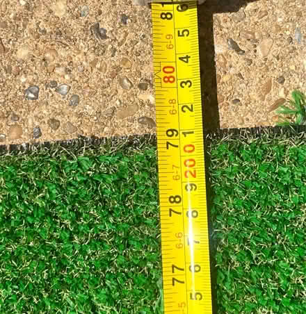 Photo of free Grass Mat (Dyke Road area BN1) #3