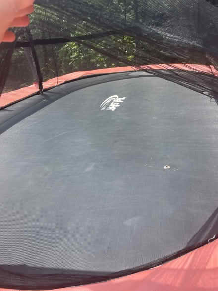 Photo of free Trampoline (Bayston Hill) #2