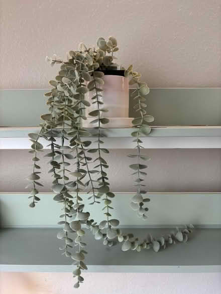 Photo of free Fake Plant & Planter w/ Drainage (U-District) #1