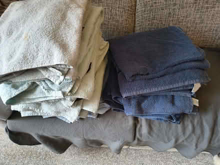 Photo of free Towel bundle (Herdings S14) #1