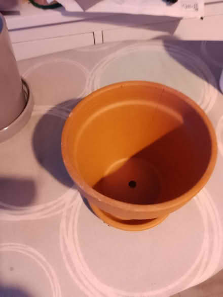 Photo of free 5 china plant pots (Isleworth TW7 Near Rugby Gd) #4