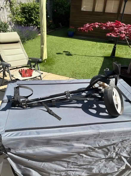 Photo of free Golf trolley (Paddock wood) #2