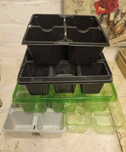 Photo of free Plant cells and plastic plant holder (Morley LS27) #2