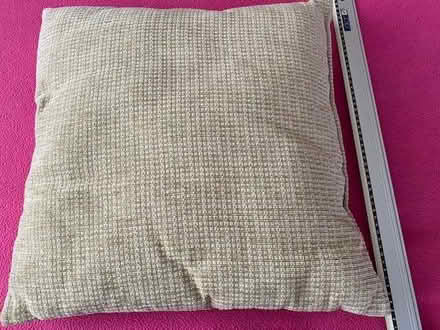 Photo of free 4 cushions (Maiden Erlegh Nature Reserve RG6) #1