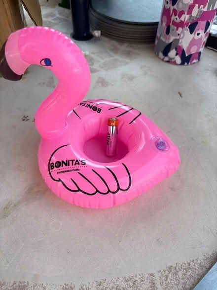 Photo of free Pink flamingo (Bordon) #1