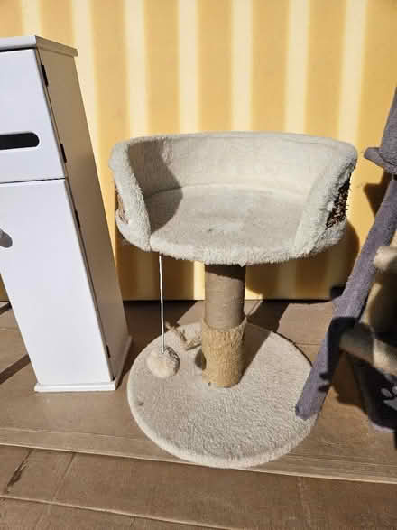 Photo of free Cat beds, stool, cooking trays. Toilet roll holder foam matt (Welling DA15) #3