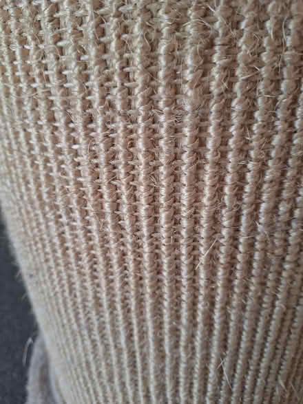 Photo of free Scratch post (Hampden Park BN22) #4