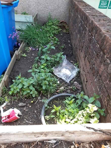 Photo of free Topsoil (EH26 Penicuik) #1