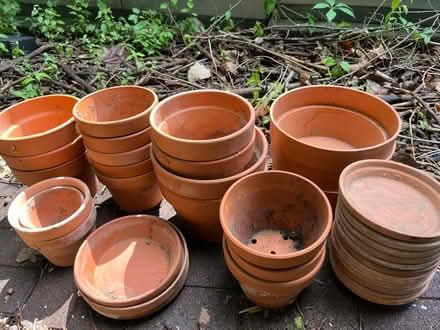 Photo of free Terra-cotta pots/saucers (63130) #1
