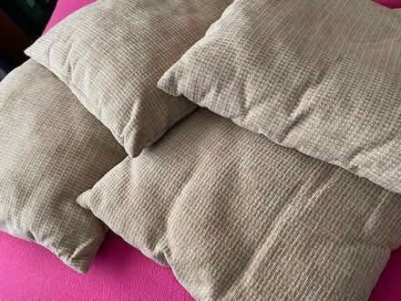 Photo of free 4 cushions (Maiden Erlegh Nature Reserve RG6) #2