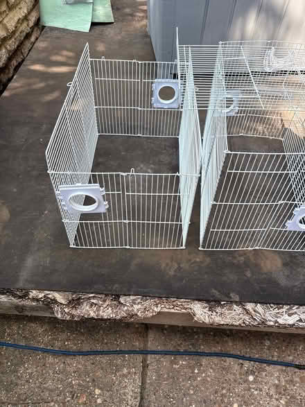 Photo of free Small rodent cage (Bordon) #1