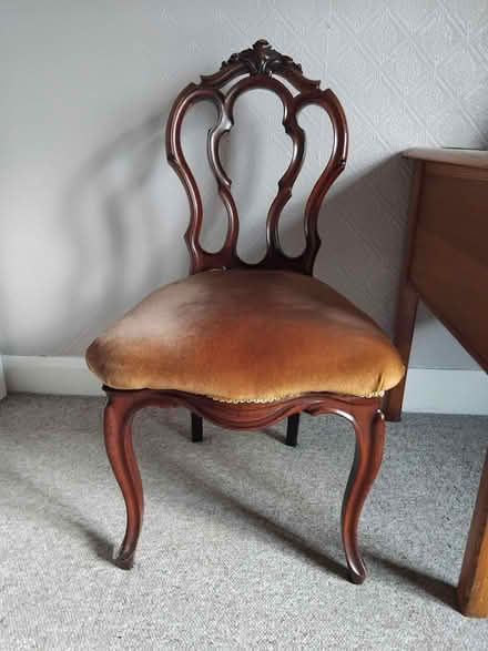 Photo of free 2 dining chairs (Starbeck HG1) #2