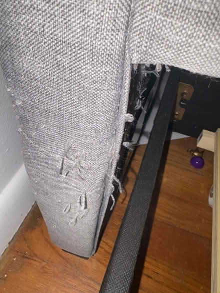 Photo of free Twin daybed with trundle (Odenton Kings Heights) #4