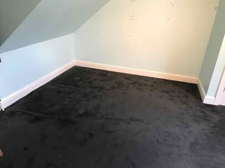 Photo of free Very Large Carpet (Wingerworth S42) #1