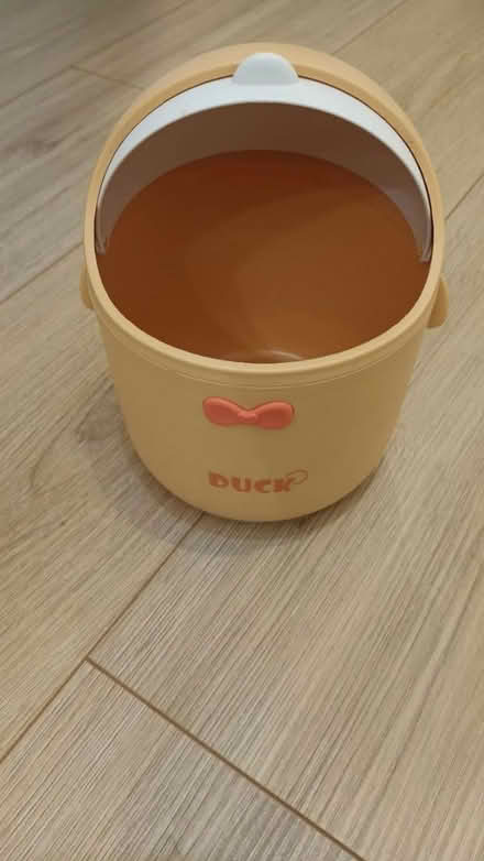 Photo of free Desktop bin. Duck design (SW11) #2