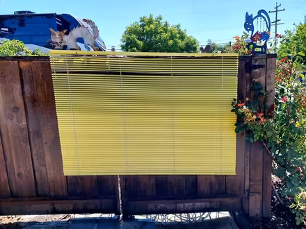Photo of free Two Yellow Mini Blinds (Livermore) #2