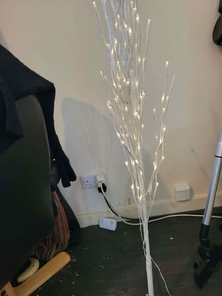Photo of free Decorative twig light (Chirton NE29) #1