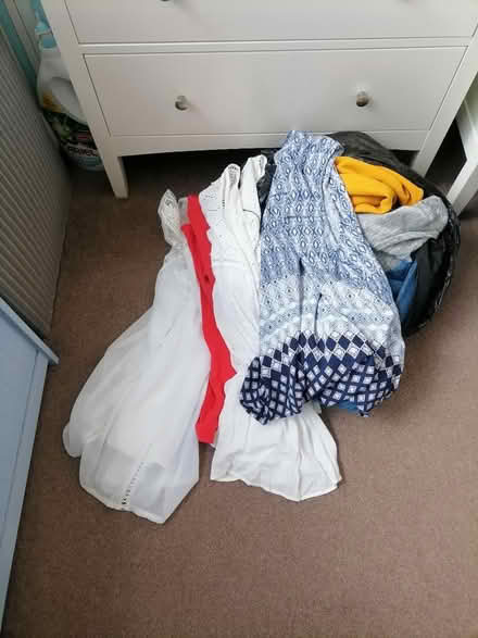 Photo of free Clothes (Oakley RG23) #1