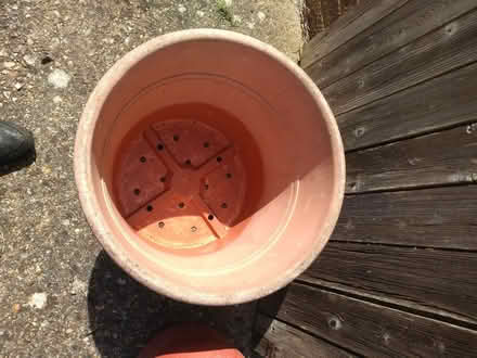 Photo of free Plastic plant pot. (Cobbs Quay BH15) #2
