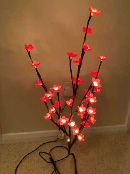 Photo of free Twig & flower light (East Malling ME19) #1