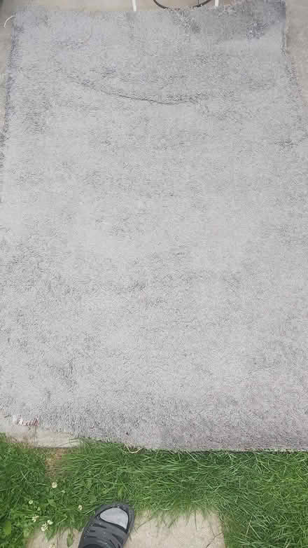 Photo of free Ikea Rug (Handsworth S13) #1