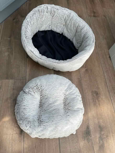 Photo of free Cat Bed and Litter Tray (Eastcote HA4) #2