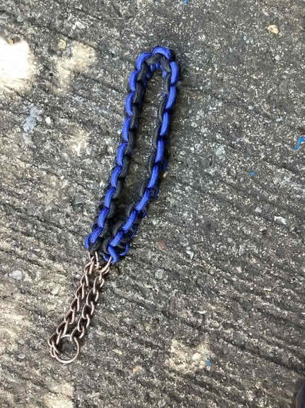 Photo of free Large dog collar (Hatfield AL10) #1