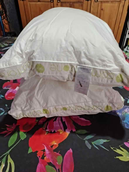 Photo of free Double Duvet & 2x Pillows (Newcastle St5) #1