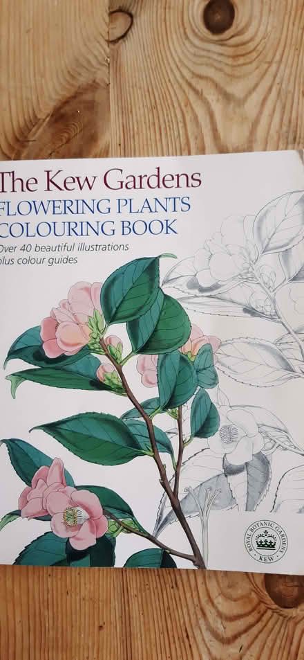 Photo of free Colouring book (Ormskirk L39) #1