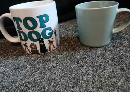 Photo of free Cups (Weeke SO22) #1