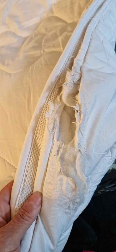 Photo of free Double mattress cover and double duvet (Wandsworth Common SW12) #3