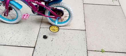 Photo of free Small childs cycle (Clayton Green PR6) #4