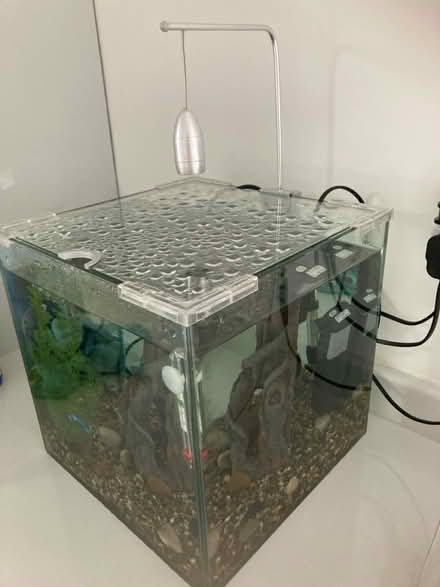 Photo of free Fish tank (Beaumont) #1