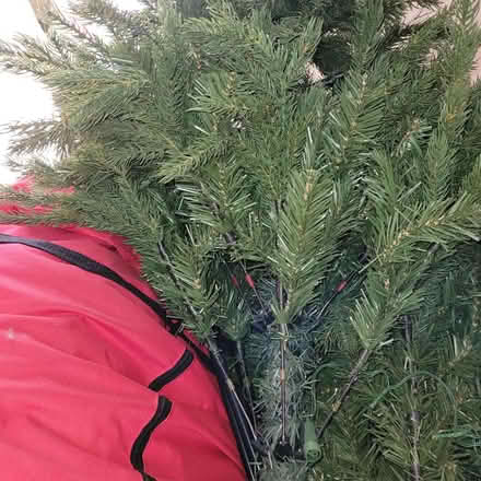 Photo of free 7 ft Christmas tree (West Southbourne BH6) #1