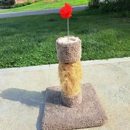 Photo of free cat stuff (Allison Park-- Hampton) #3